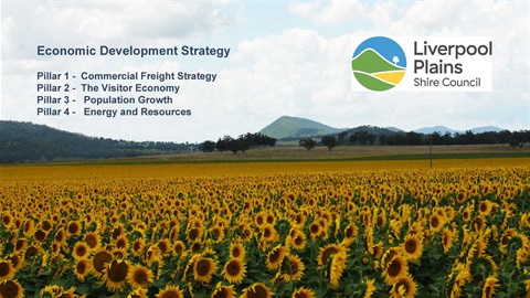 Economic Development Strategy - Pillar 2 Visitor Economy_Page_01.jpg